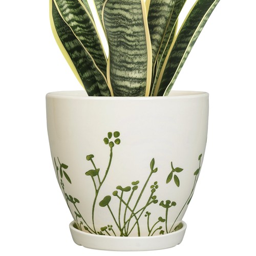 Indoor plant pot inch - pot,