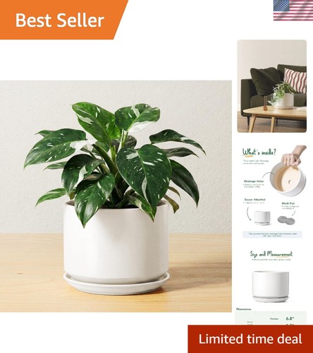 Modern inch white ceramic - modern,